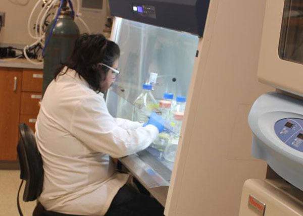 Engineer working with laboratory equipment