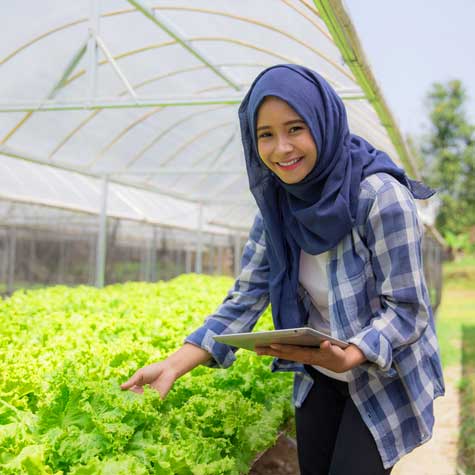 Woman using a tablet to monitor controlled-environment plant growth